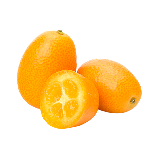 KUMQUAT