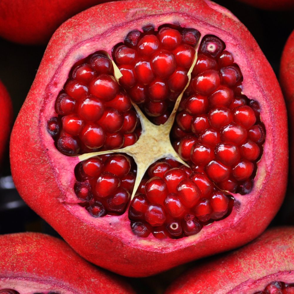 Fruits Vegetable Herbs Pomegrante (2)